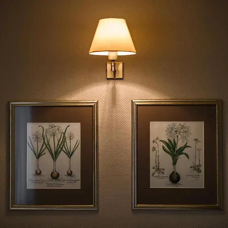 Guest house Kamea Zdiar